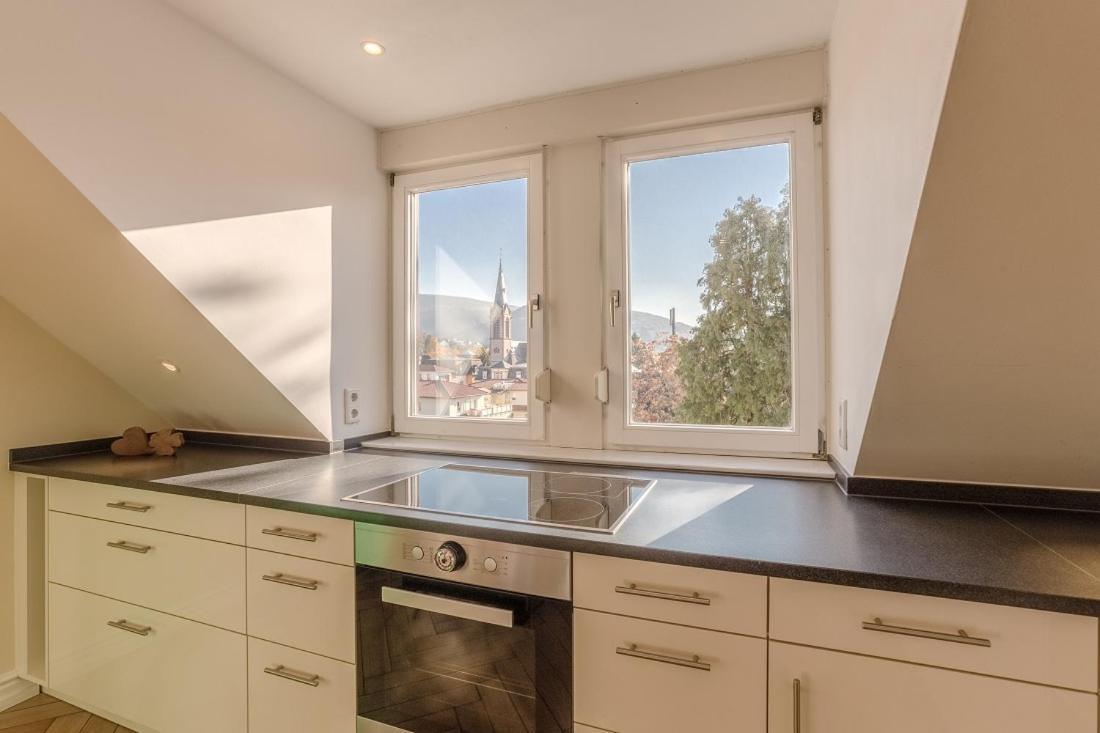 Zweite Heimat Heidelberg Apartman Kültér fotó